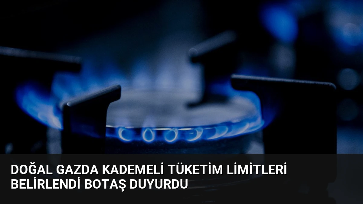 Doğal Gazda Kademeli Tüketim Limitleri Belirlendi BOTAŞ Duyurdu