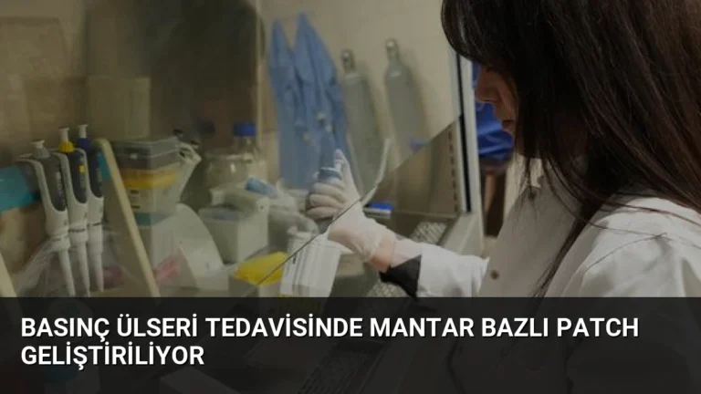 Basınç Ülseri Tedavisinde Mantar Bazlı Patch Geliştiriliyor