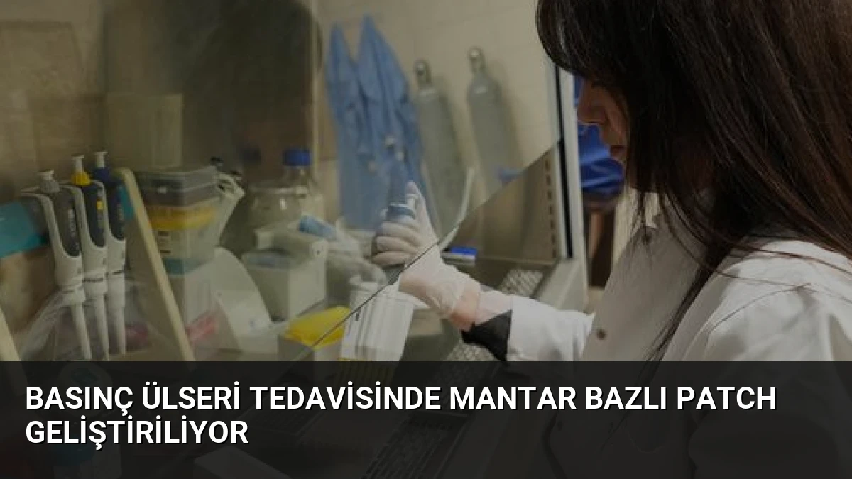 Basınç Ülseri Tedavisinde Mantar Bazlı Patch Geliştiriliyor