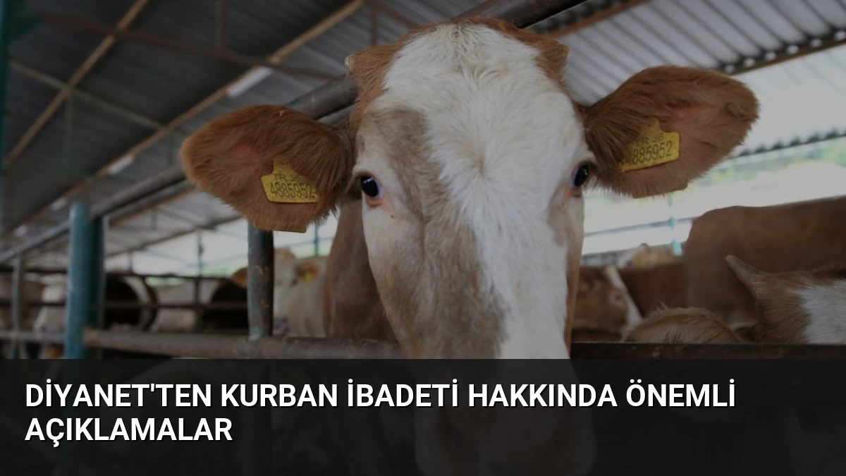 Diyanet’ten Kurban İbadeti Hakkında Önemli Açıklamalar