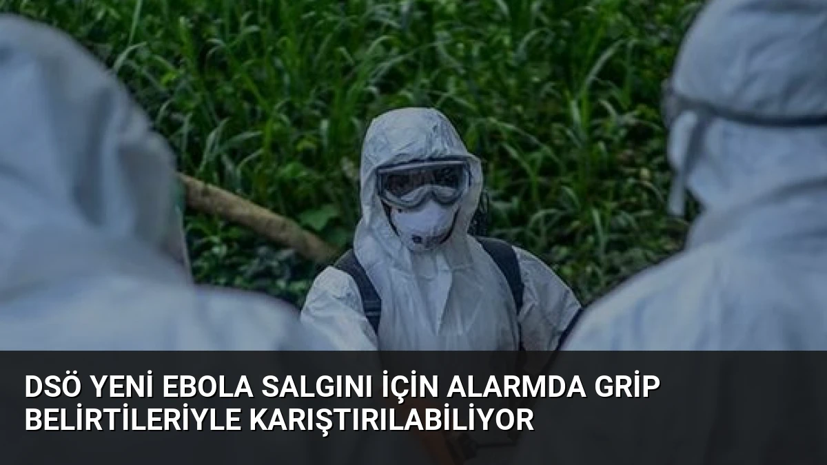 DSÖ Yeni Ebola Salgını İçin Alarmda Grip Belirtileriyle Karıştırılabiliyor