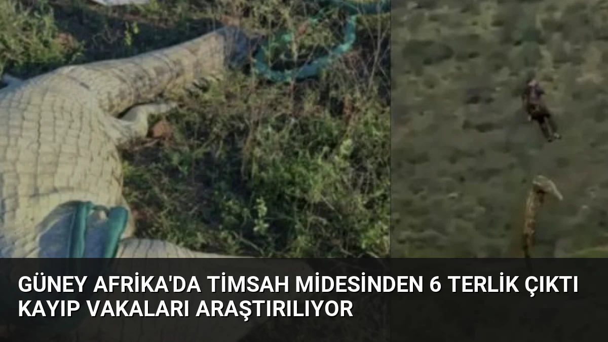 Güney Afrika’da Timsah Midesinden 6 Terlik Çıktı Kayıp Vakaları Araştırılıyor