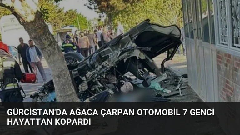 Gürcistan’da Ağaca Çarpan Otomobil 7 Genci Hayattan Kopardı