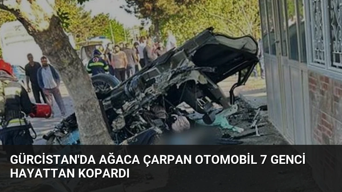 Gürcistan’da Ağaca Çarpan Otomobil 7 Genci Hayattan Kopardı