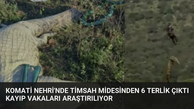 Komati Nehri’nde Timsah Midesinden 6 Terlik Çıktı Kayıp Vakaları Araştırılıyor