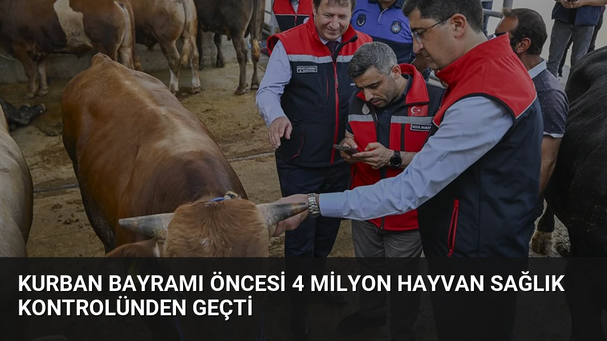 Kurban Bayramı Öncesi 4 Milyon Hayvan Sağlık Kontrolünden Geçti