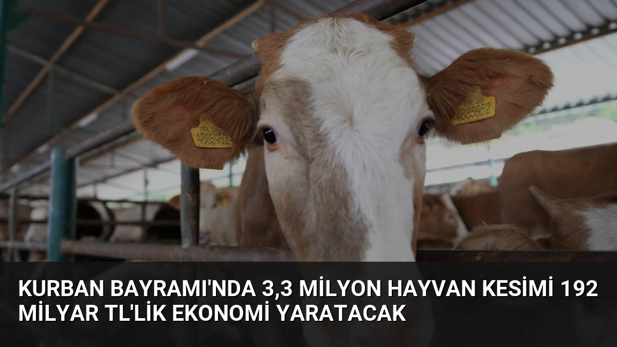 Kurban Bayramı’nda 3,3 Milyon Hayvan Kesimi 192 Milyar TL’lik Ekonomi Yaratacak