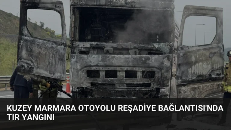 Kuzey Marmara Otoyolu Reşadiye Bağlantısı’nda Tır Yangını