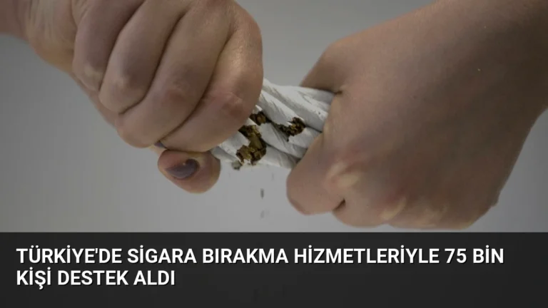 Türkiye’de Sigara Bırakma Hizmetleriyle 75 Bin Kişi Destek Aldı