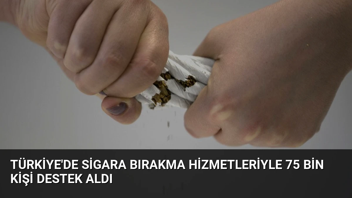 Türkiye’de Sigara Bırakma Hizmetleriyle 75 Bin Kişi Destek Aldı