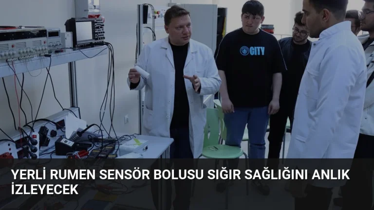 Yerli Rumen Sensör Bolusu Sığır Sağlığını Anlık İzleyecek