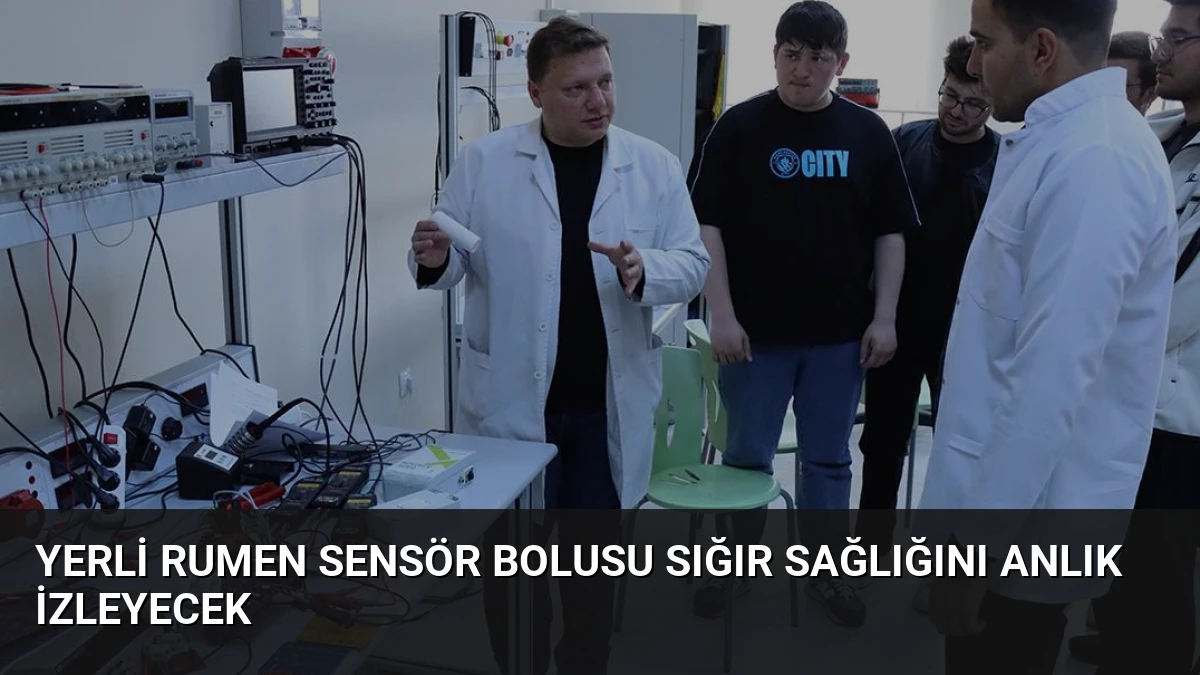 Yerli Rumen Sensör Bolusu Sığır Sağlığını Anlık İzleyecek