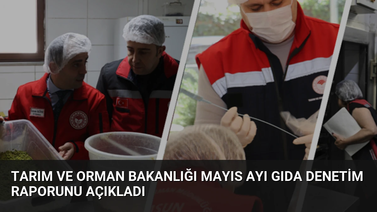 Tarım ve Orman Bakanlığı Mayıs Ayı Gıda Denetim Raporunu Açıkladı