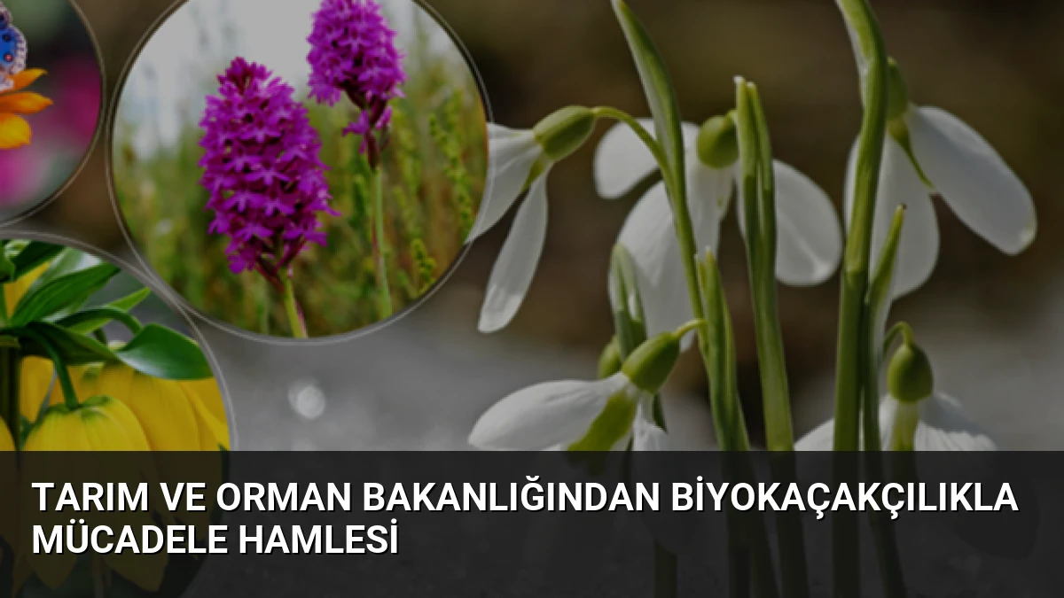 Tarım ve Orman Bakanlığından Biyokaçakçılıkla Mücadele Hamlesi