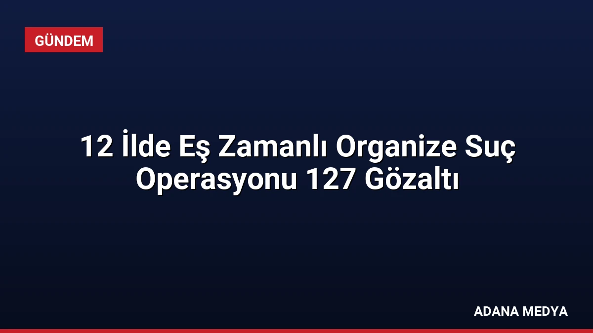 12 İlde Eş Zamanlı Organize Suç Operasyonu 127 Gözaltı