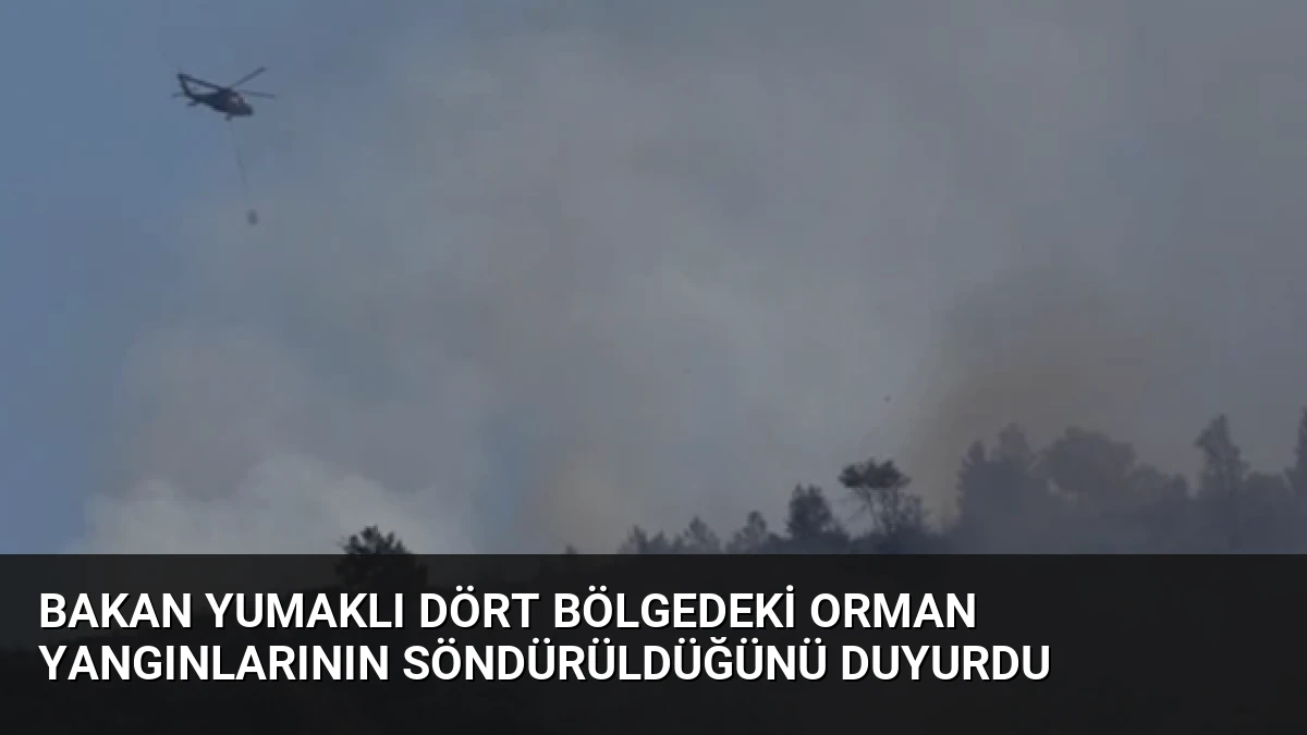 Bakan Yumaklı Dört Bölgedeki Orman Yangınlarının Söndürüldüğünü Duyurdu