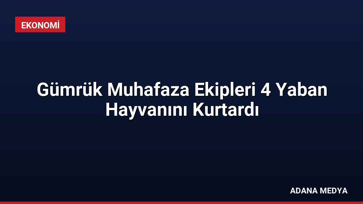 Gümrük Muhafaza Ekipleri 4 Yaban Hayvanını Kurtardı