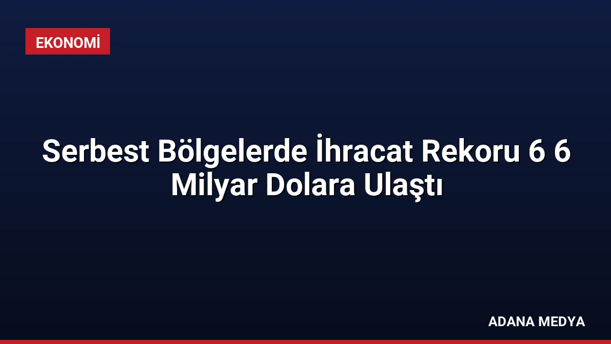 Serbest Bölgelerde İhracat Rekoru 6 6 Milyar Dolara Ulaştı