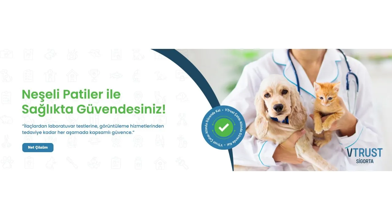 Evcil Hayvan Sigortası Fiyatları İle Tedavi Maliyeti Karşılaştırması