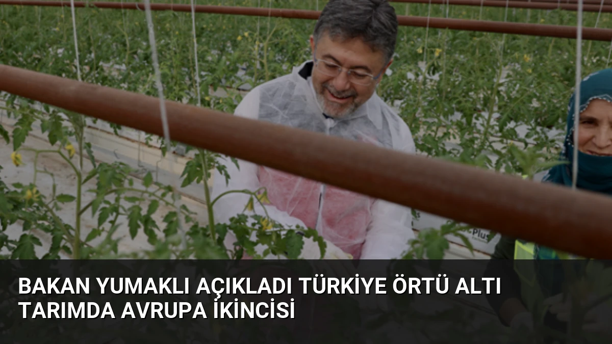 Bakan Yumaklı Açıkladı Türkiye Örtü Altı Tarımda Avrupa İkincisi
