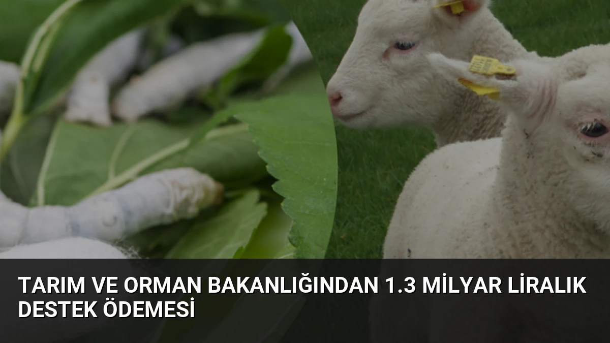 Tarım ve Orman Bakanlığından 1.3 Milyar Liralık Destek Ödemesi