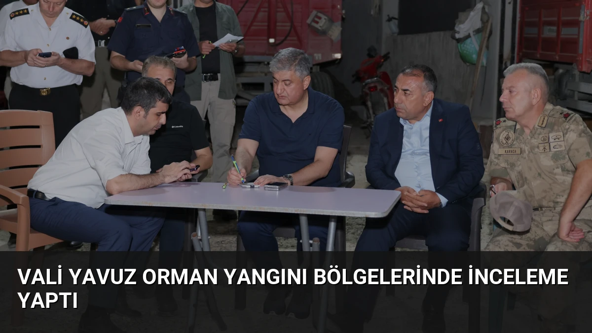 Vali Yavuz Orman Yangını Bölgelerinde İnceleme Yaptı