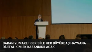 Bakan Yumaklı: GEKİS ile her büyükbaş hayvana dijital kimlik kazandırılacak