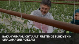 Bakan Yumaklı Örtü Altı Üretimde Türkiye’nin Sıralamasını Açıkladı