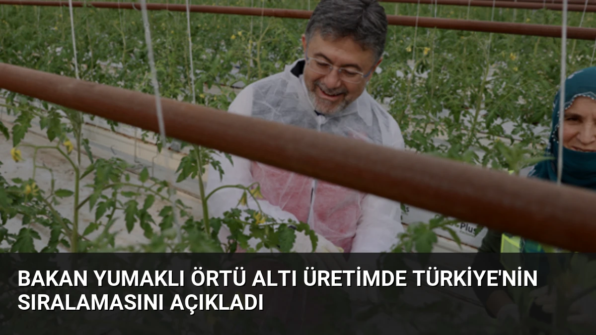Bakan Yumaklı Örtü Altı Üretimde Türkiye’nin Sıralamasını Açıkladı