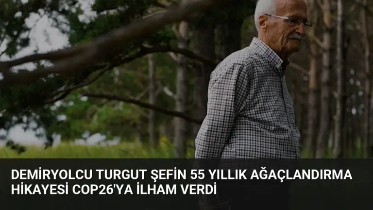 Demiryolcu Turgut Şefin 55 Yıllık Ağaçlandırma Hikayesi COP26’ya İlham Verdi