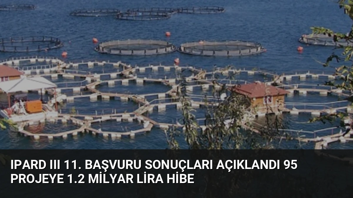 IPARD III 11. Başvuru Sonuçları Açıklandı 95 Projeye 1.2 Milyar Lira Hibe