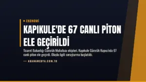 Kapıkule’de 67 Canlı Piton Ele Geçirildi