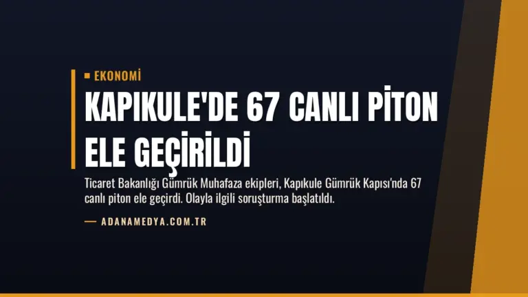 Kapıkule’de 67 Canlı Piton Ele Geçirildi