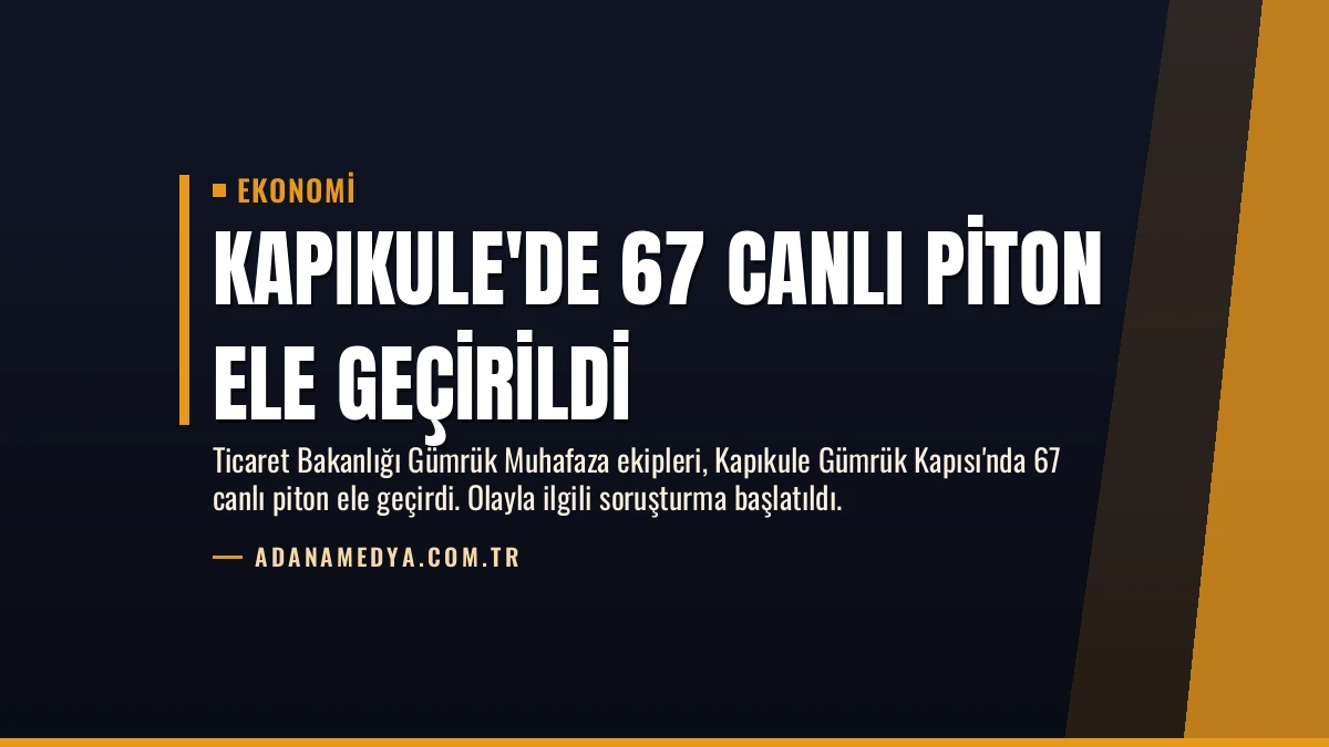 Kapıkule’de 67 Canlı Piton Ele Geçirildi